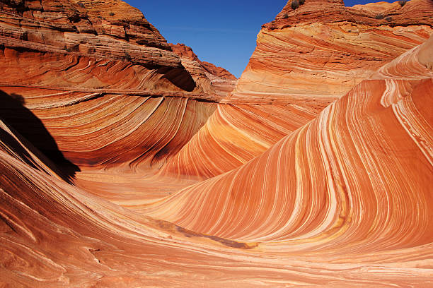 istock The Wave, Vermilion Cliffs National Monument, Arizona, USA 596089032