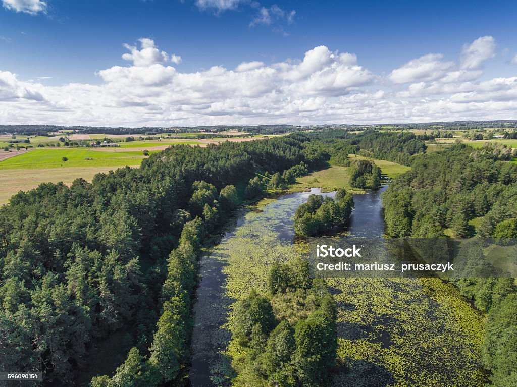 Black River Hancza in Turtul. Suwalszczyzna, Poland. Black River Hancza in Turtul. Suwalszczyzna, Poland. Summer time. Green landscape and white clouds over blue sky. Viiew from above. Above Stock Photo