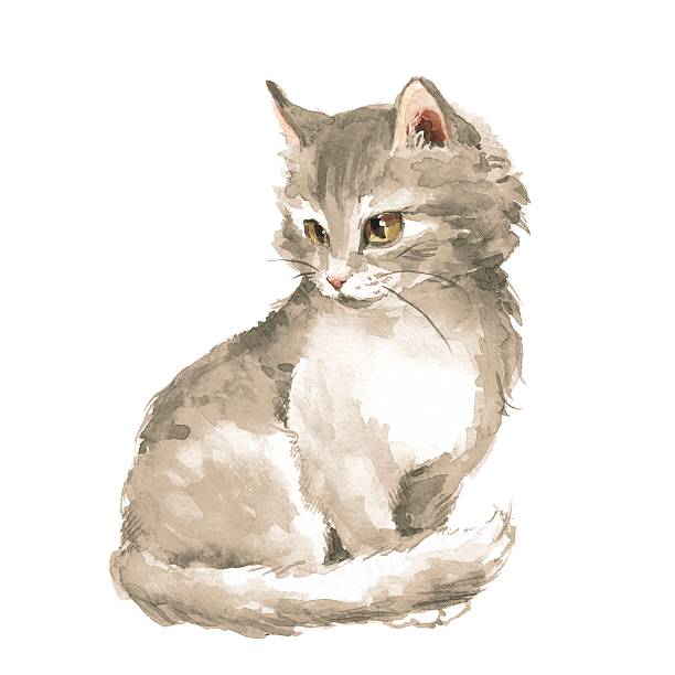 istock Cat 1. Gray fluffy kitten. Watercolor painting 596090530