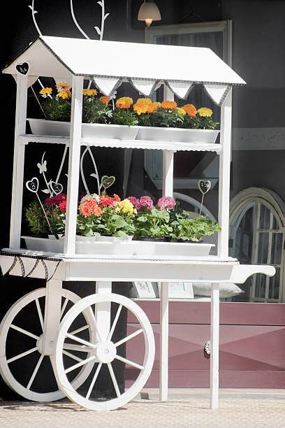 Lugo, Spain- May 4, 2016: Detail of a retail display of ornamental flower pots and plants outdoors with the prizes on, shelves in the shape of a vintage cart on the street sidewalk.