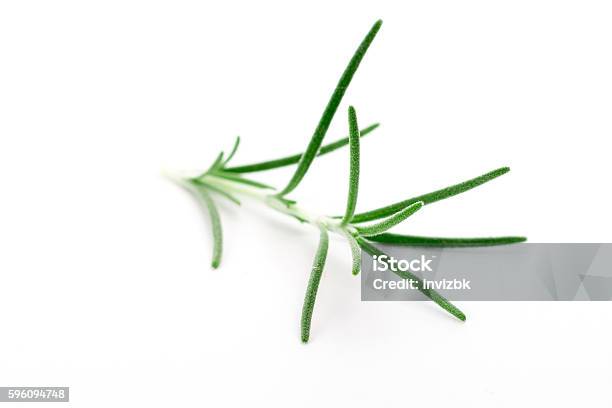 Closeup Of Rosemary Stock Photo - Download Image Now - Bouquet, Branch - Plant Part, Close-up