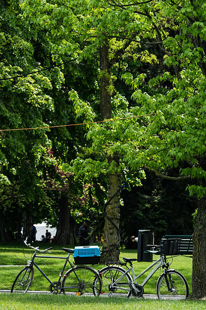 istock Bicycle parking in the garden green lawn 596096902
