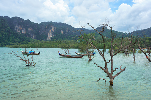Krabi, Thailand - August 6, 2016: Boats anchored near forest and mountain at Ao Nammao pier in Krabi, Thailand.