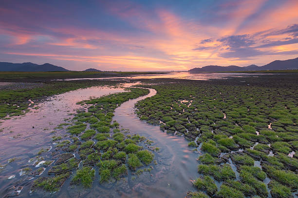 istock Natural small waterway over cracked land 596338180
