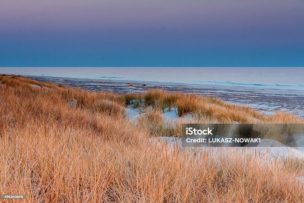 beautiful view of the coastal dunes Baltic Sea Baltic Sea Stock Photo