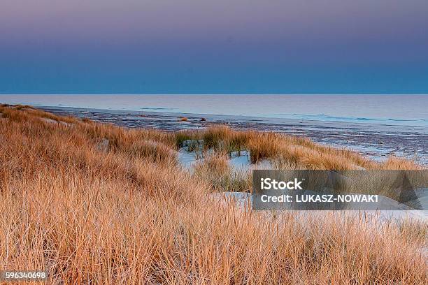 Beautiful View Of The Coastal Dunes Stock Photo - Download Image Now - Baltic Sea, Horizontal, Landscape - Scenery