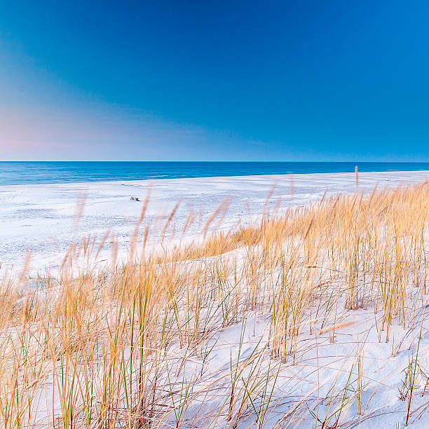 istock beautiful view of the coastal dunes 596342014
