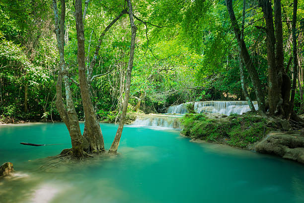 緑の滝のある緑の風景 - waterfall erawan tropical rainforest tree ストックフォトと画像