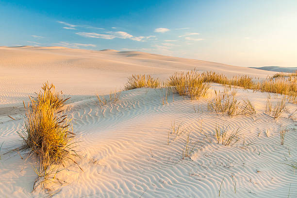 istock beautiful view of the coastal dunes 596342690