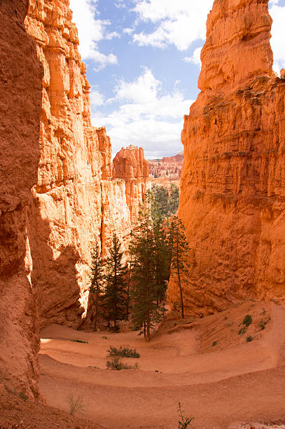 istock Bryce Canyon, Utah, USA 596344146