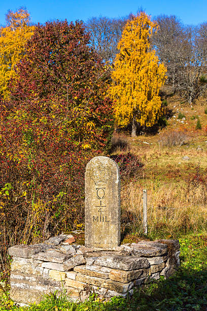 istock Milestone in a pasture in the autumn 596344528