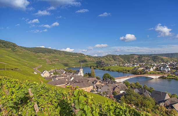 istock view on Moselle and vineyards  in Germany Piesport 596344536