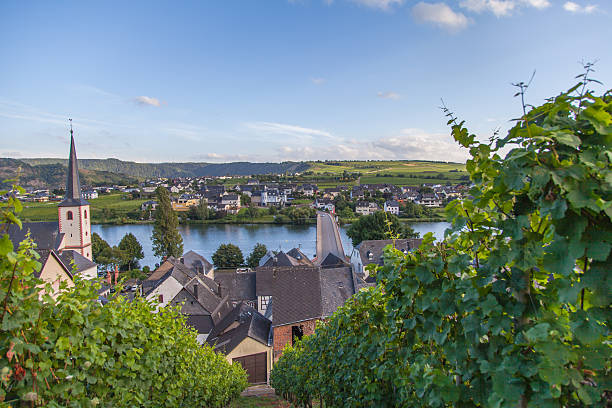 istock view on Moselle and vineyards  in Germany Piesport 596351838