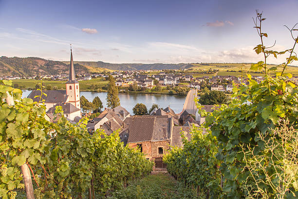 istock view on Moselle and vineyards  in Germany Piesport 596351904