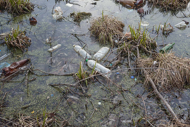 istock pollution of the lake with plastic bottles. ecology. 596354736