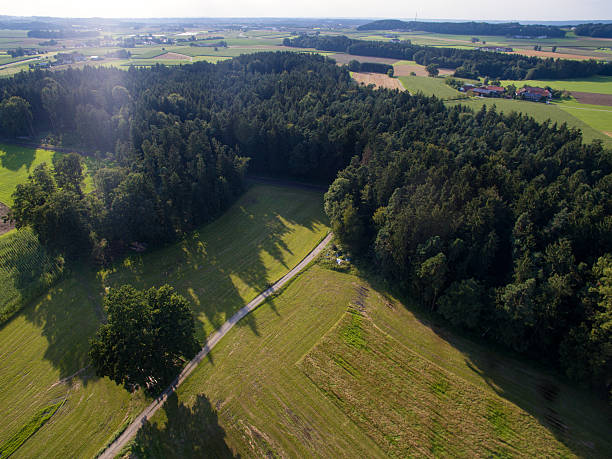istock Areal view of a forest 596358282