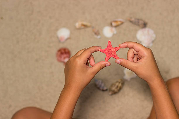 istock Child hands with red starfish. Sea shells on sandy beach. 596358578
