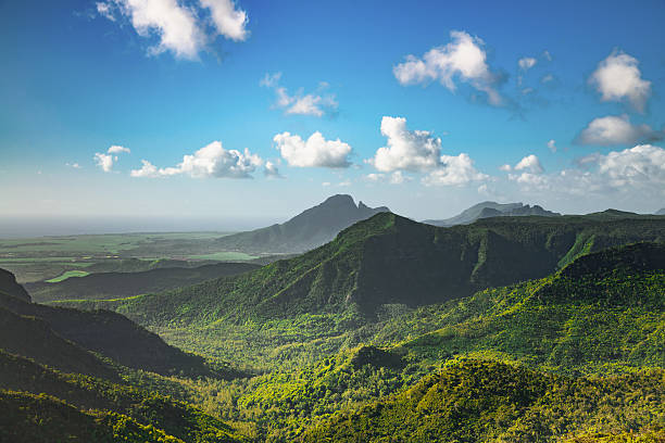 Black River Gorges National Park Mauritius Island View over tropical Mountain Range Black River Gorges National Park on Mauritius Island under blue summer sky. Gorges Viewpoint, Mauritius, Africa. ravine stock pictures, royalty-free photos & images