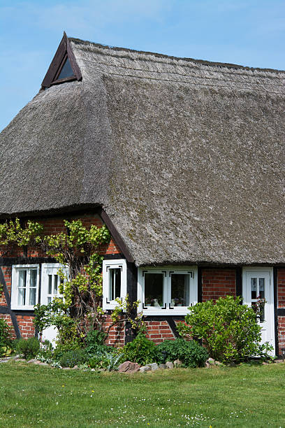 istock House in Wustrow, Darss, Germany 596360736