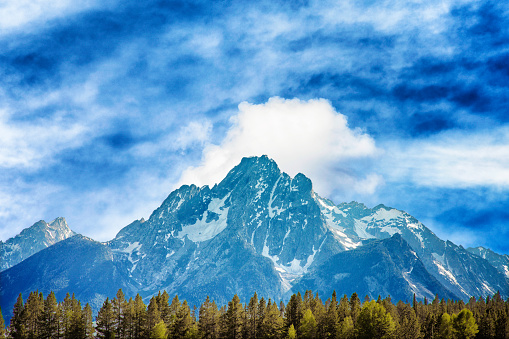 Grand Teton mountain range under cloudy sky with a pine forest undeneath.