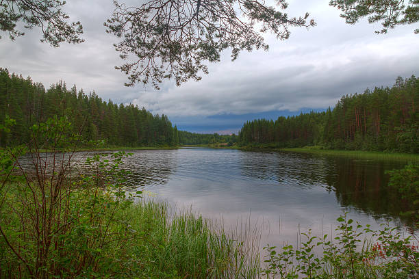 istock Lake and forest in cloudy day 596362262