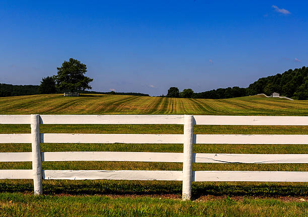 istock Farm in Maryland with freshly painted white fence 596362332