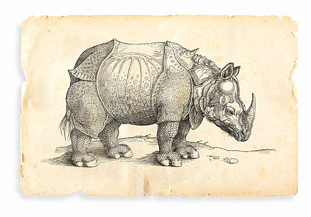 istock Albrecht Durer rhinoceros woodcut 1535 596362348