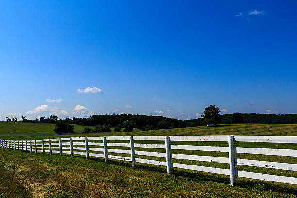 istock Farm in Maryland with freshly painted white fence 596362464