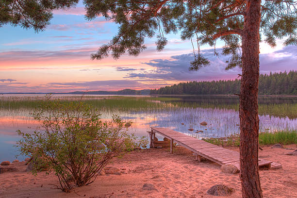 istock Tree and pier on shore of lake in beautiful evening 596362896