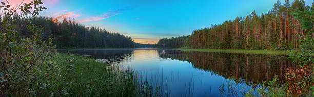 istock Panoramic landscape of lake and forest 596363380