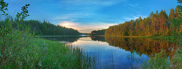 istock Panoramic landscape of lake and forest 596363482
