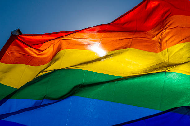 istock Gay pride flag in the afternoon sun 596363572