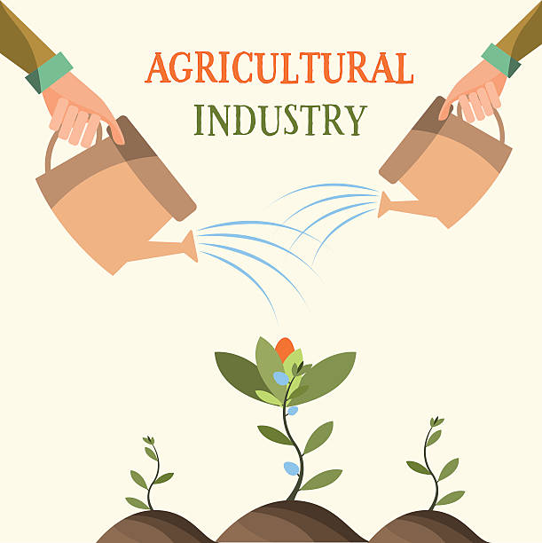 istock Growing flowers , Agriculture, farming , garden. Vector illustration 596364810