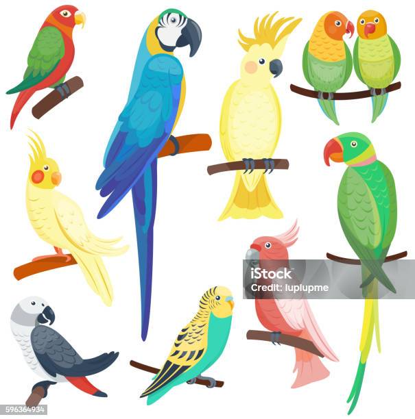 Cartoon Parrots Set Vector Stock Illustration - Download Image Now - Parrot, Blue, Tropical Bird