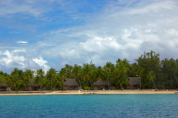 istock bungalows in Tikehau, Tahiti 596365394