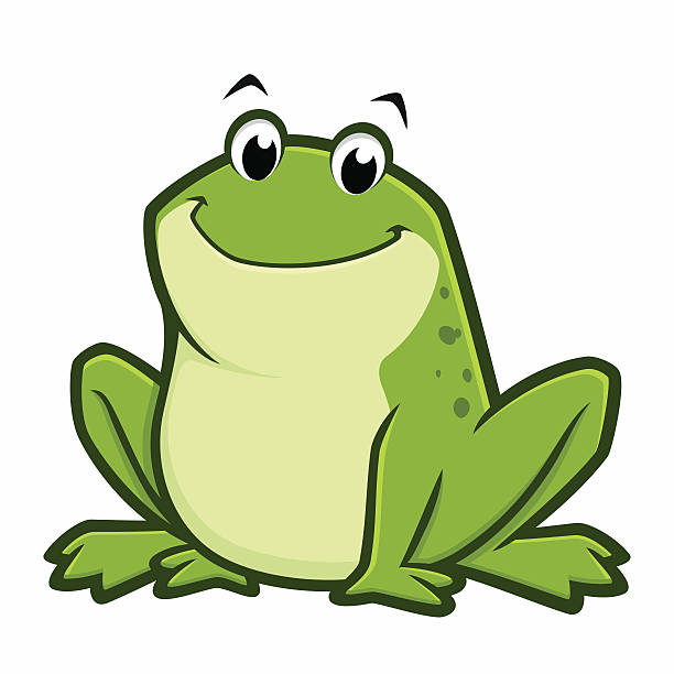 Cartoon Fat Frog Vector illustration of a cartoon green fat frog for design element cute frog stock illustrations