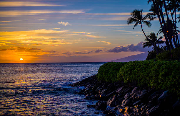 cocoteros, costa de lava, puesta de sol maui - napili bay fotografías e imágenes de stock