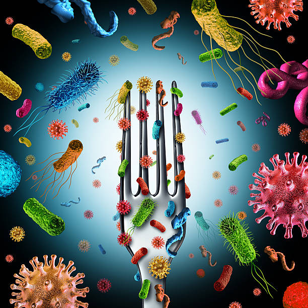 Bacteria And Germs On Food Bacteria and germs on food as a cutlery fork with dangerous cells on the surface as salmonella listeria causing poisoning and illness as a health and medical symbol as a 3D illustration. food poisoning stock pictures, royalty-free photos & images