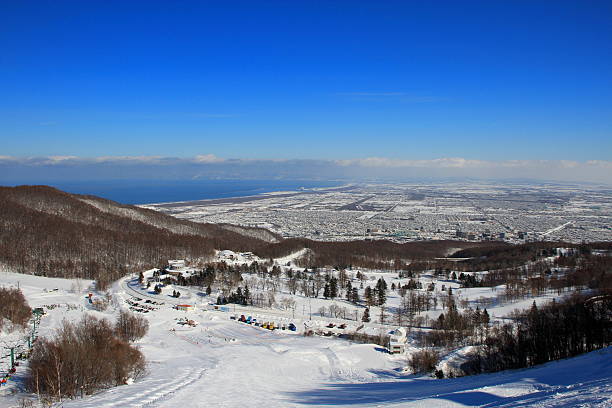 istock Midwinter of Sapporo city distant view 596373398