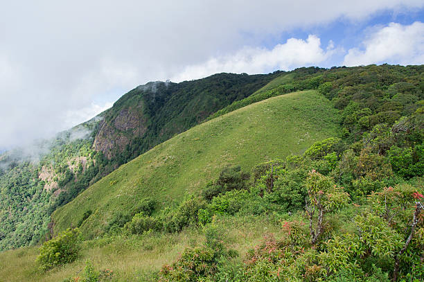 istock Beautiful green mountain landscape with trees 596374614