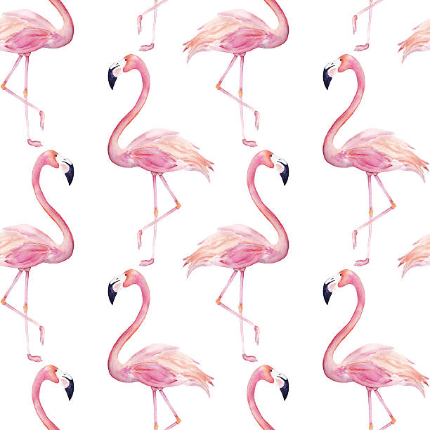 Watercolor seamless pattern with  flamingo