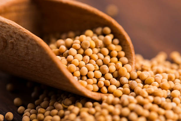 istock Spicy mustard seeds in a wooden background 596377788