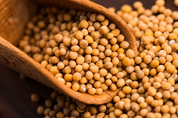 istock Spicy mustard seeds in a wooden background 596377856