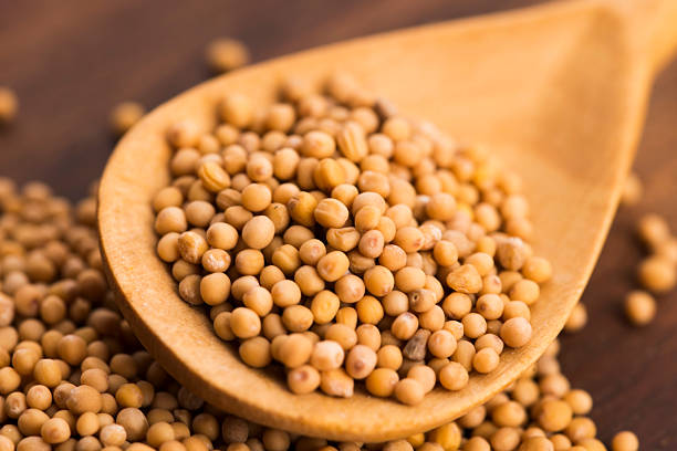 istock Spicy mustard seeds in a wooden background 596378024