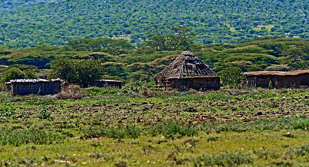 istock Wooden house in Africa 596378146