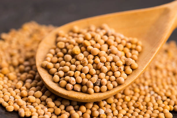 istock Spicy mustard seeds in a wooden background 596378406