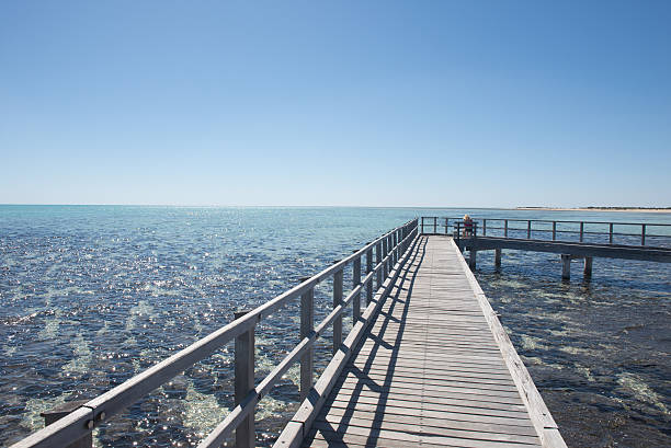 istock Woman Stromatolites Hamelin Pool Australia 596378954