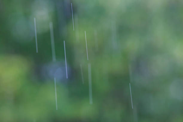 istock heavy rain ,rain drops falling and green bokeh 596381266