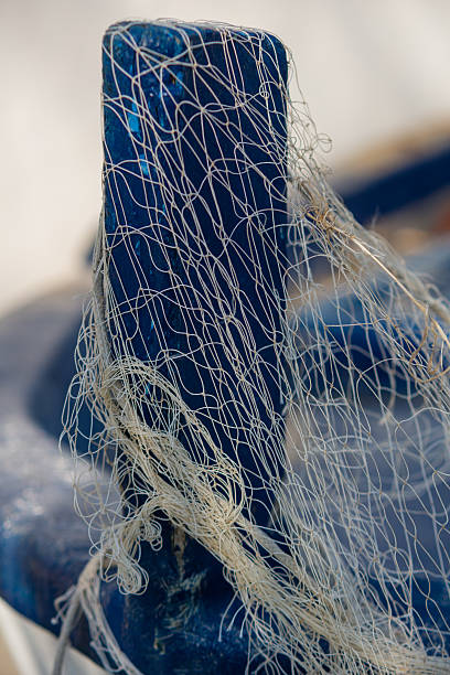 fisher bateau  - fishing net netting nobody color image photos et images de collection