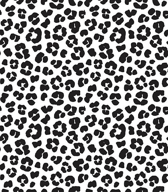 illustrazioni stock, clip art, cartoni animati e icone di tendenza di motivo di sfondo senza cuciture con stampa leopardata. bianco e nero - cow hide fur backgrounds